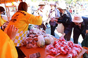 鵡川産野菜コーナー