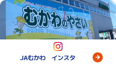 JAむかわインスタ