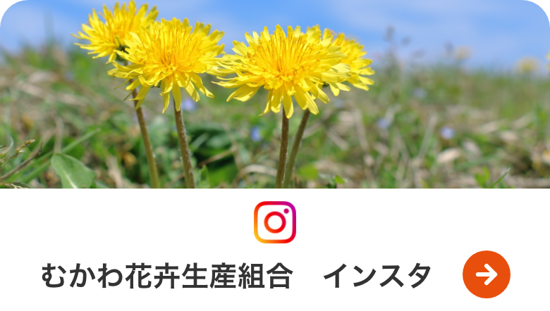 むかわ花卉生産組合インスタ