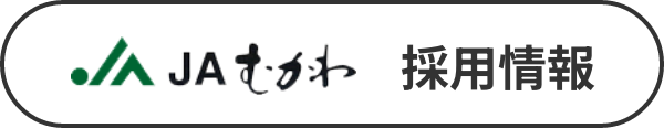 採用募集