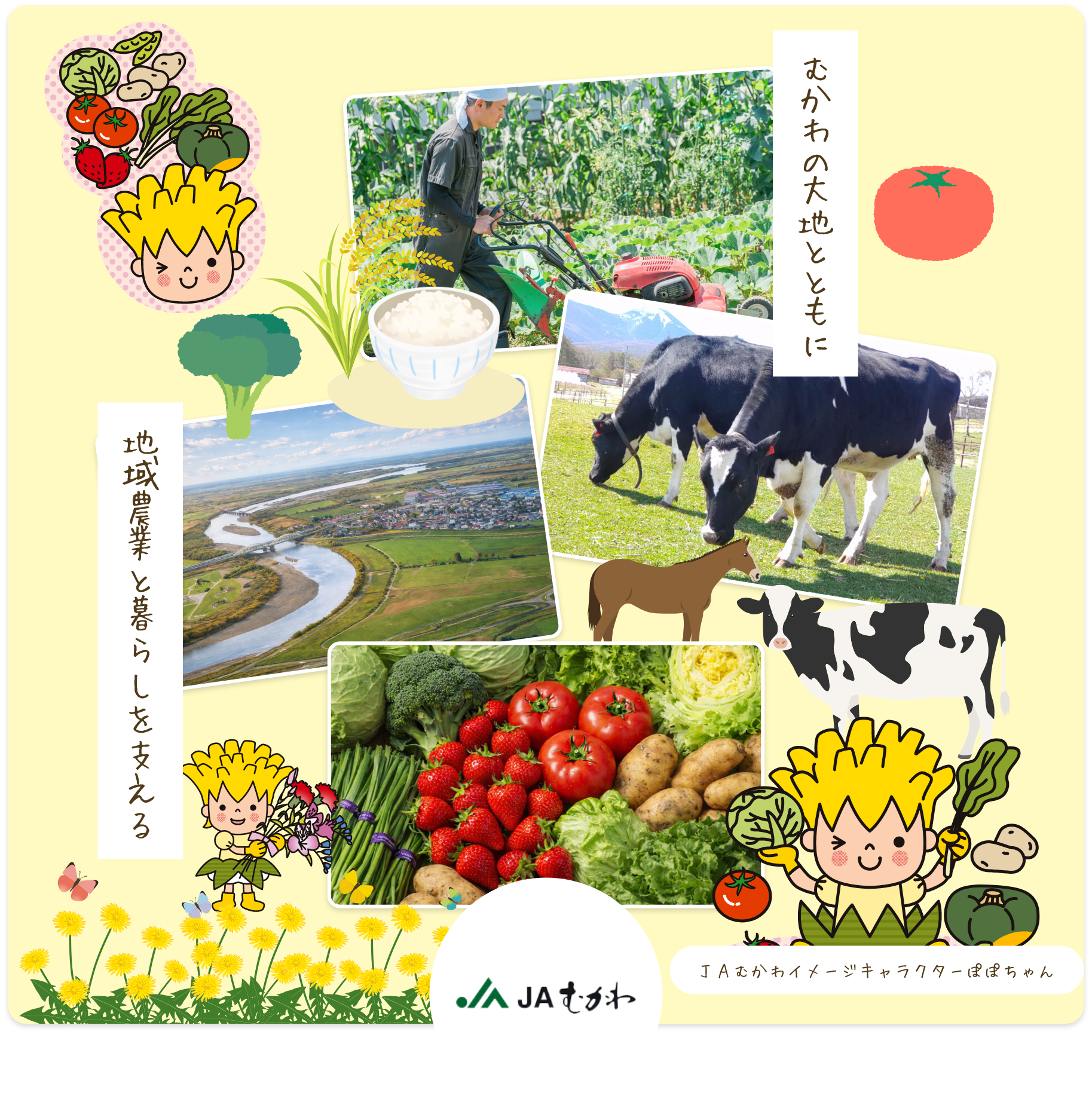 むかわの大地とともに 地域農業と暮らしを支えるJA