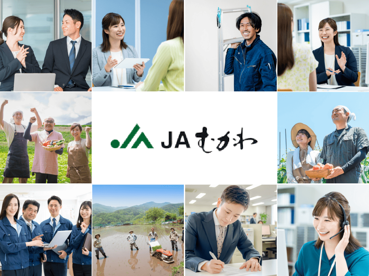 採用情報